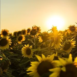 Meet your Posher, Kylie